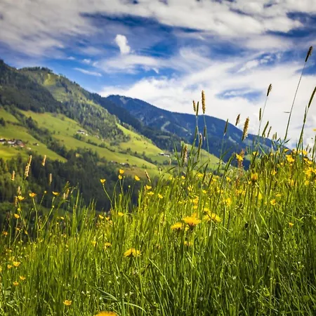 Spatzennest Hohentauern